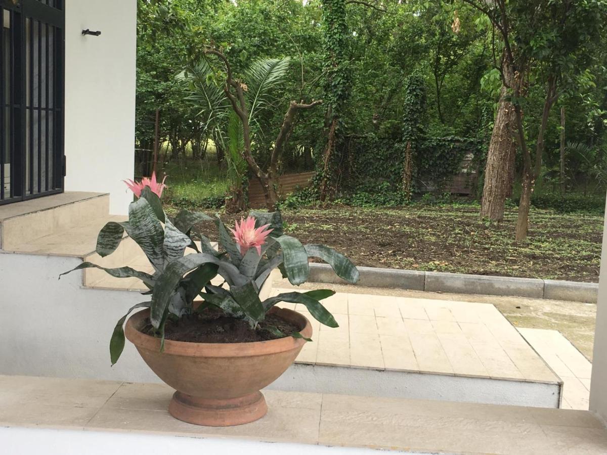 La Villetta B&B Scisciano Εξωτερικό φωτογραφία